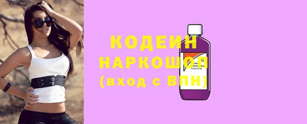 прущий лед Щигры