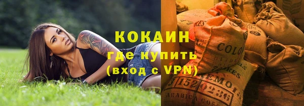стафф Алексин