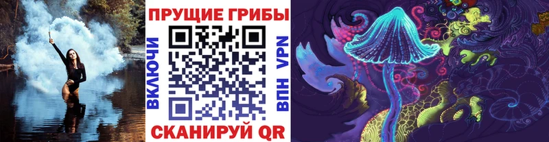 купить наркотики сайты  OMG зеркало  Псилоцибиновые грибы MAGIC MUSHROOMS  Подольск 